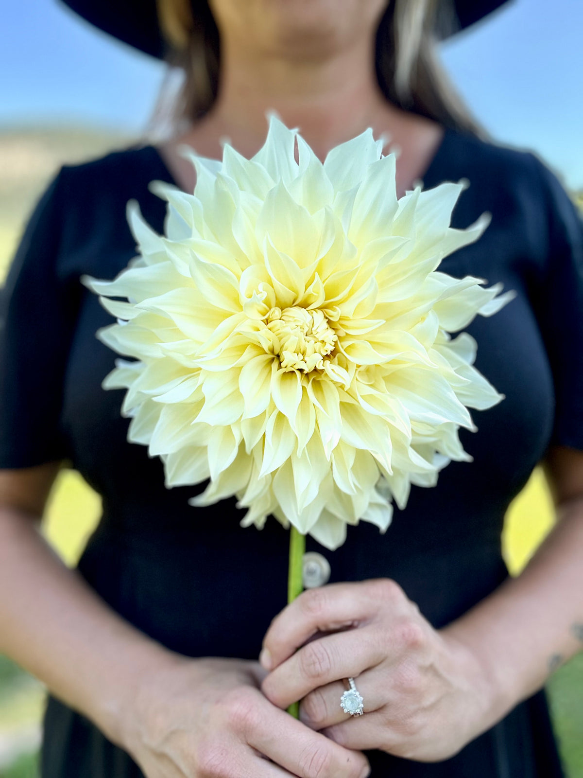 Dahlia Cafe Supreme