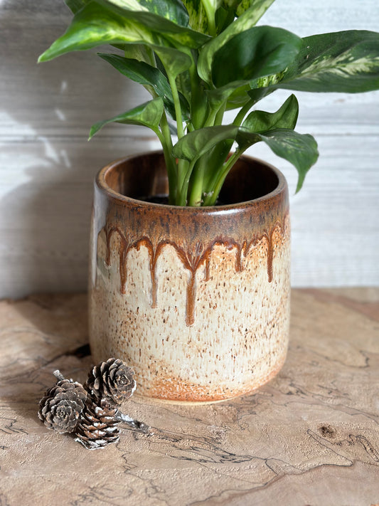 Speckled Pot