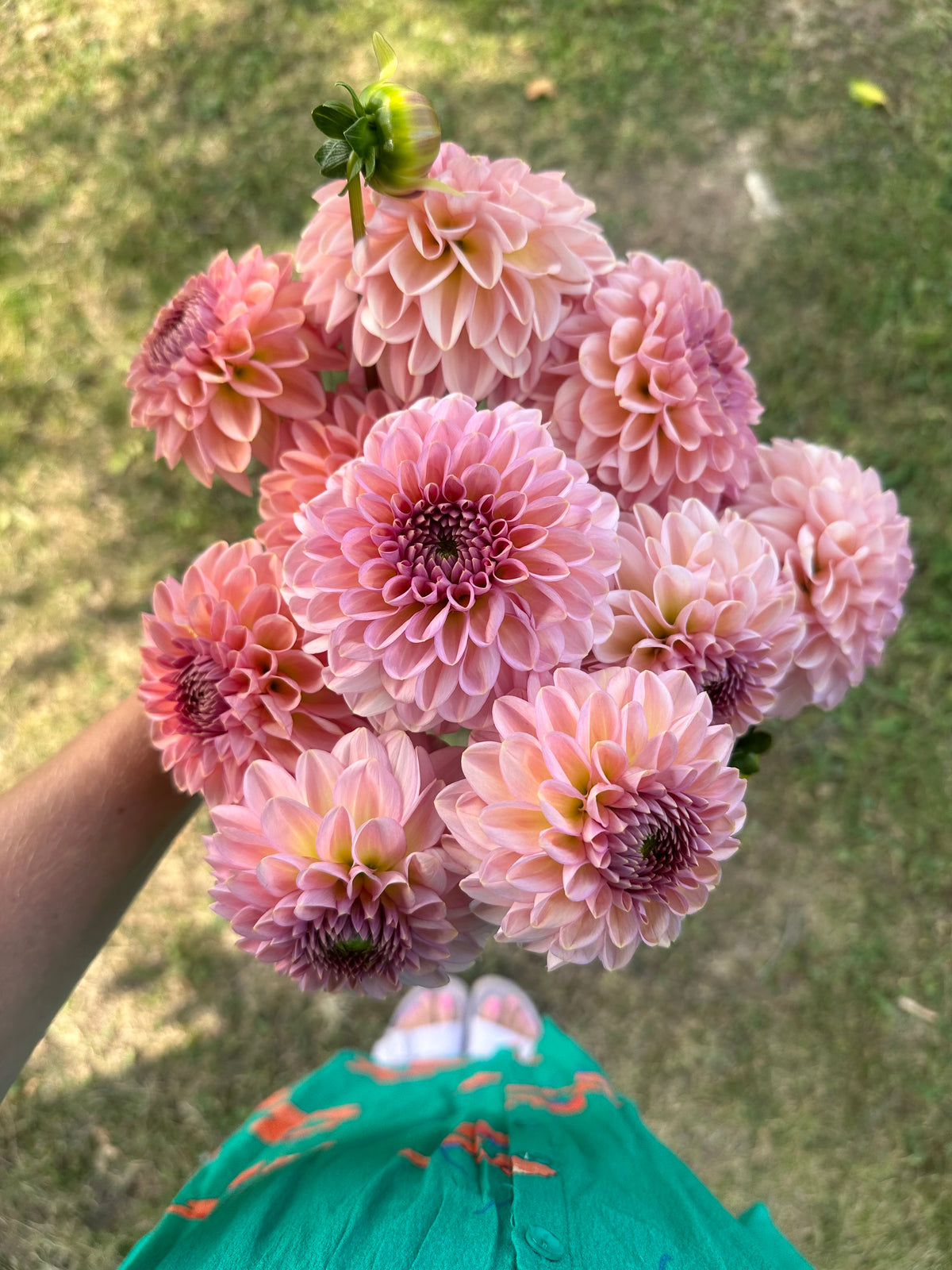 Dahlia Cupcake