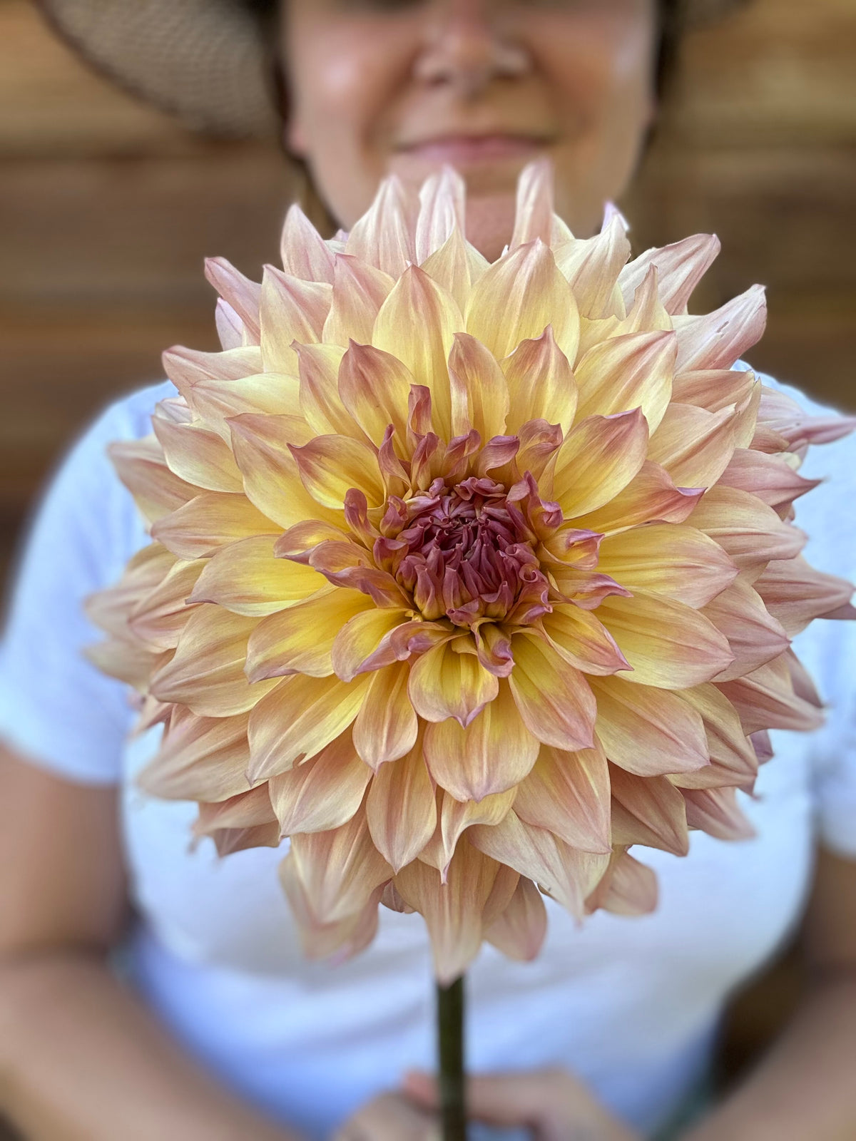 Dahlia Papageno