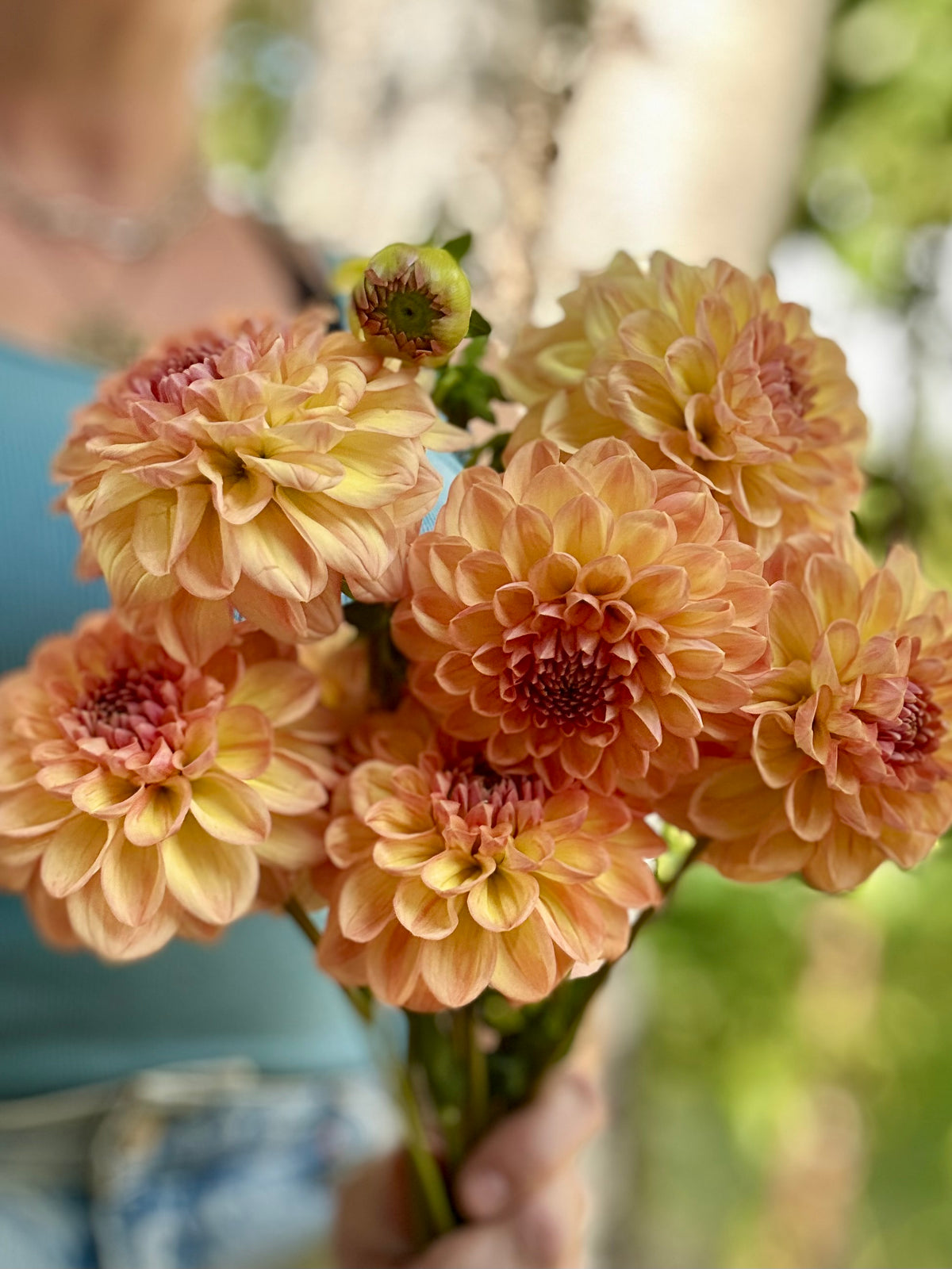 Dahlia Lark's Ebbe